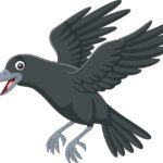 Crows are innocent until proven guilty!